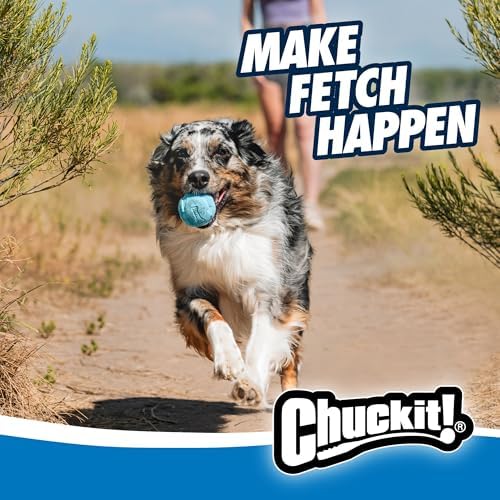 Chuckit! Rebounce Ball Dog Toy, Medium 2.5 Inch, for Dogs 20-60 lbs, Blue