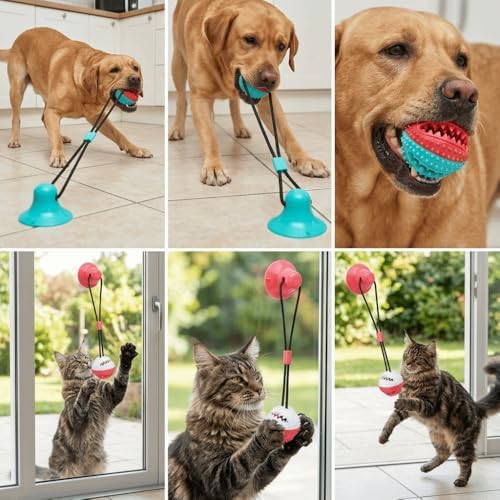 Dog Chew Toys Suction Cup Ball with Bell Interactive, Rubber Molar Teeth Cleaning Ball for Food Dispensing and Tug-of-War Games(Red‑White)