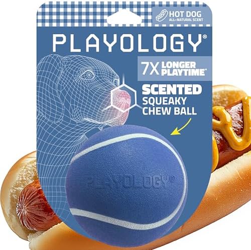 Playology Squeaky Chew Ball Dog Toy - Jumbo, Hot Dog Scent