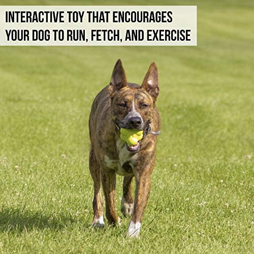 Hyper Pet Fetching Dog Toys - Throwing Bumpy Ball Dog Toy Made with EVA Foam - Lightweight & Floats on Water