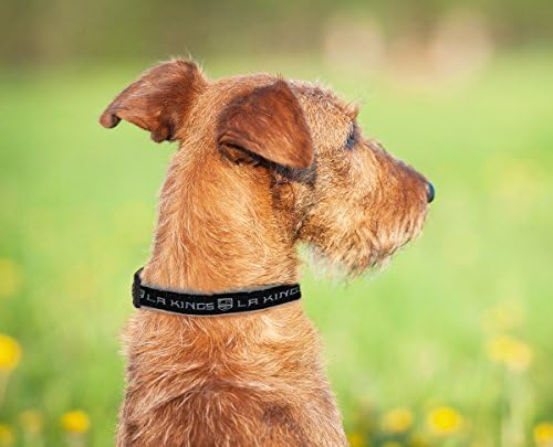 NHL Los Angeles Kings Collar for Dogs & Cats, Small. - Adjustable, Cute & Stylish! The Ultimate Hockey Fan Collar!
