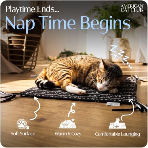 American Cat Club Reversible Crinkle Cat Mat with Mouse Toy, 18" x 13"