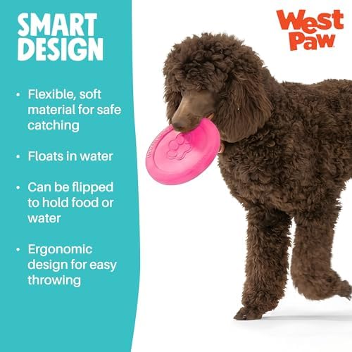 WEST PAW Zogoflex Zisc Dog Flying Disc, High Flying Aerodynamic Disc for Dogs Puppy – Lightweight, Floatable Disc for Fetch, Tug of War, Catch, Play – Doubles as Food/Water Bowl, Small 6.5", Geranium