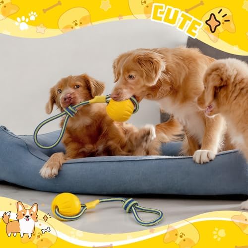 Hsei 2 Pcs 3.5" Dog Rope Toy Ball on Rope Fetch and Tug of War Toy for Dog