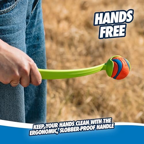 Chuckit! Sport 14S Ball Launcher for Small Dogs, 14-Inch Manual Thrower with 2-Inch Ball, Fits Dogs up to 20 lbs, (Pack of 12)