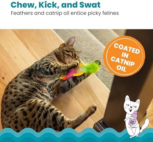 Catstages Dental Pineapple Teether – Chew Toy for Cats and Kittens – Textured Fabric and Mesh – Coated in Catnip Oil – Supports Teething Relief
