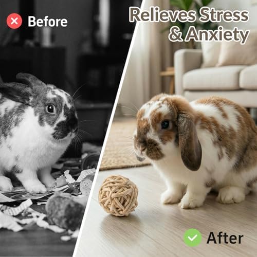 7 Pcs Rabbit Chew Toys, Interactive Bunny Foraging Toy, Natural Materials, Loofah Sponges, Seagrass Balls, Dental Cleaning, Relieve Stress