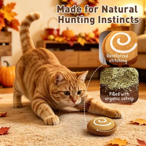 Plush Fall Catnip Toys for Indoor Cats 6 Pack, Pumpkin Shape
