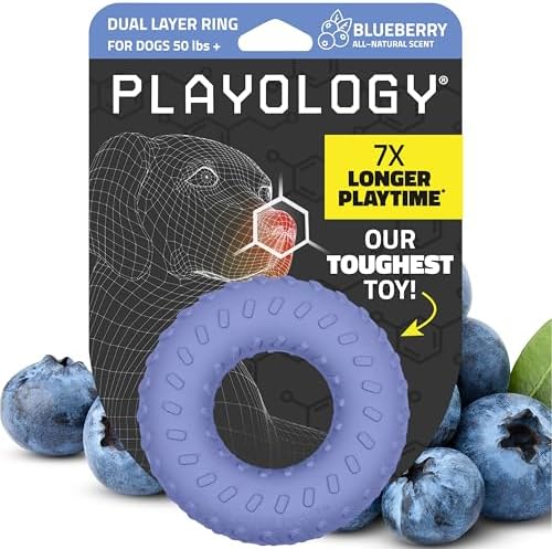 Playology Dual Layer Ring Dog Toy for Aggressive Chewers, Blueberry Scent