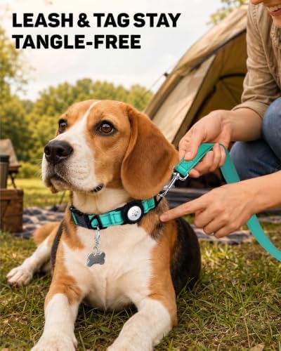 Padded Dog Collar with Waterproof Holder Compatible with Airtag
