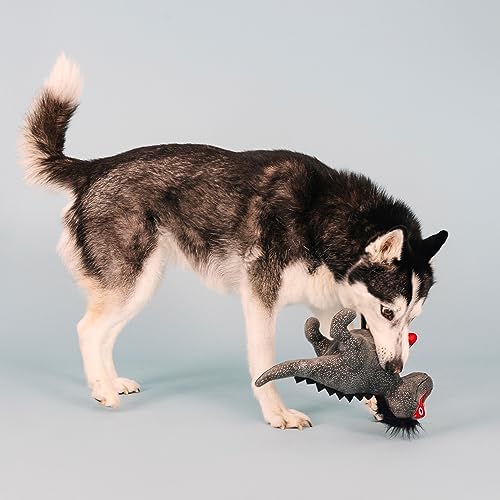 Fringe Studio Plush Dog Toy, Rocker Rex, Pet Shop Collection (314214)