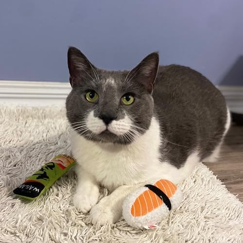 SPOT Sushi Take-Out- Cat Plush Toys with Catnip & Silverine Blend, Cute and Funny Toys for Indoor Cats & Kittens, Perfect for Batting and Chasing - 4 inch, Assorted 2-Pack, Styles May Vary