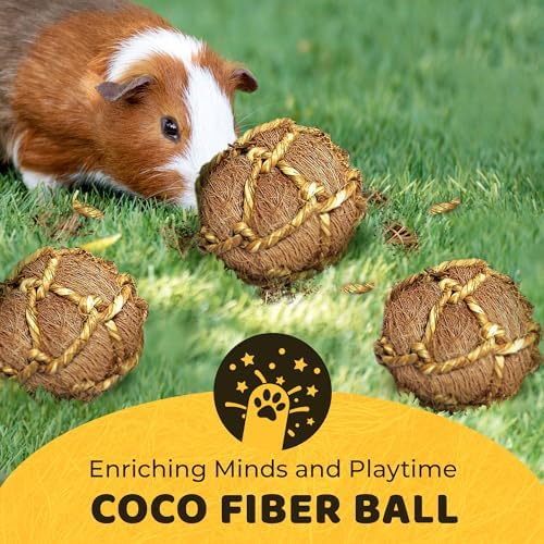 SunGrow Assorted Rabbit & Cat Chew Balls, Teething Activity Toy for Pocket Pets, Improves Dental Health, Environment Friendly, Stress Reliever (Coconut Fiber, 3 Pcs)