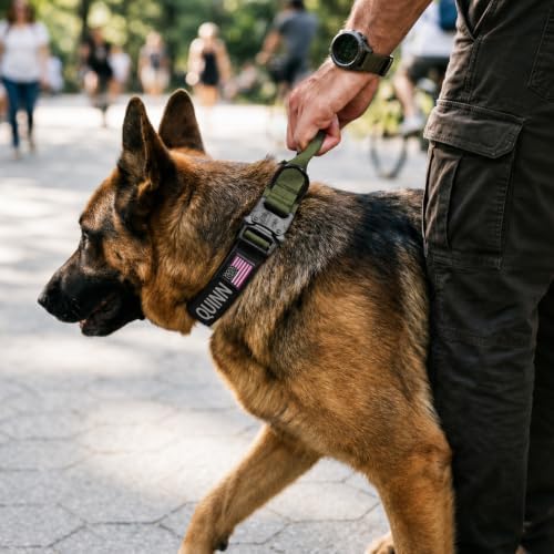 Personalized Tactical Dog Collar Name Phone Heavy Duty Nylon Handle