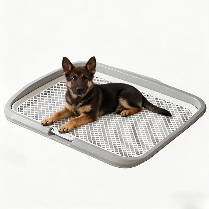 Dog Potty Tray with Guide Pillar, 25.6"x19.7" Large Indoor Pet Pee Pad Holder, Heavy Duty Dog Litter Box, Removable & Washable Puppy Training Toilet for Housebreaking Supplies (Grey)