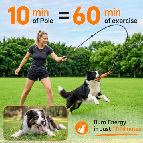 FOXMM Flirt Pole for Dogs, Interactive Dog Toys for Large Medium Small Dogs
