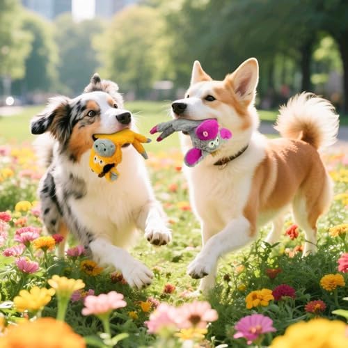 No Stuffing Dog Toys 2 Pack Squeaky Crinkle Plush Animal Toy