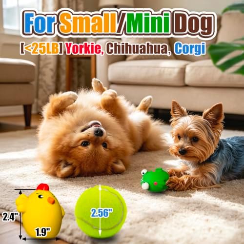 HOLYSTEED Squeaky Dog Toys for Small Dogs, Mini Breed, 1.9" Latex Ball Oval
