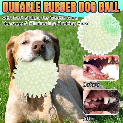 LECHONG 4-Pack Glow in The Dark Squeaky Dog Balls, 4.5” Large Spiky Dog Toy Balls, Durable Glowing Rubber Fetching Ball for Medium & Large Dogs Nighttime Playing Indoors & Outdoors