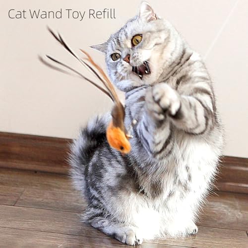 miwoowim 4PCS Feather Bird Cat Wand Refills &,Door Hanging Suction Cup Set