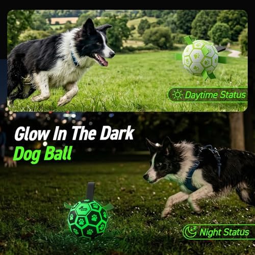 QDAN Glow in The Dark Dog Toys, Dog Soccer Ball with Straps, Night Play Fun | Light Up Dog Balls for Large Dogs, Interactive Training Dog Tug Toys for Tug of War, 8 Inch, 30-90 lbs Puppy Ball, Dog Gifts