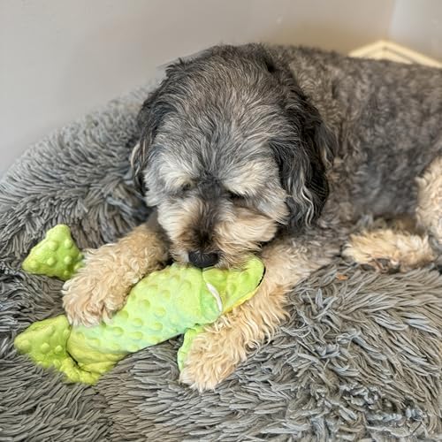 SPOT Skinneeez Extreme Stuffers Frog - Stuffing Free Dog Toy With Squeaker & Rip Stop Mesh Lining for Durability - Insert Plastic Bottle for Extra Crunch, For Small to Medium Puppies & Dogs - 14in