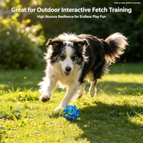 Dog Ball Toys for Aggressive Chewers, Indestructible Squeaky Fetch Toys for Large Medium Dogs, Durable E-TPU Bouncy Balls Interactive Floatable Training Toy for Outdoor Indoor Pool