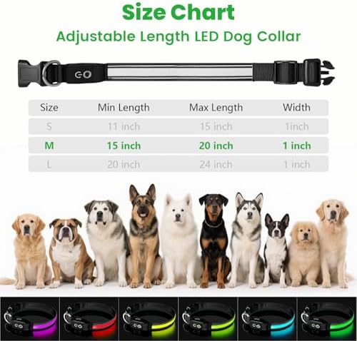Auto Light Up Dog Collar - Smart Safety Night Collar with Motion Sensor - Auto-On in Dark - USB-C Rechargeable - 3 Day Runtime- IP65 Waterproof (M 15-20“)