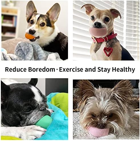 SCHITEC Squeaky Dog Toys, 3 Pack Soft Latex Balls for Puppies Small Dogs