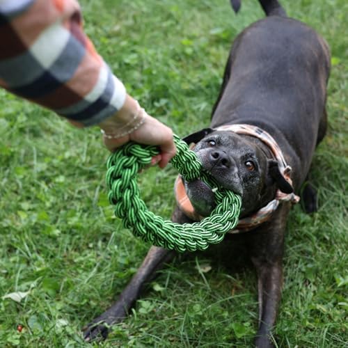 Jolly Pets TIK-Tak-Tugzz Woven Rope Dog Toy, O Shape, Large/XL