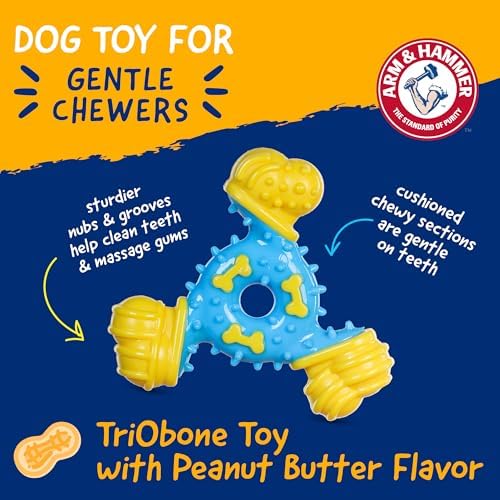 Arm & Hammer Nubbies TriBone Dental Dog Chew Toy, Peanut Butter Flavor