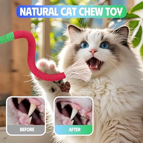 Silvervine Sticks Cat Chew Toys for Indoor Cats Dental Care Teeth Cleaning, Natural Kitten & Cat Teething Toys for Health, Catnip Toys Cat Chew Rope Suitable for All Breeds of Aggressive Chewers Cat