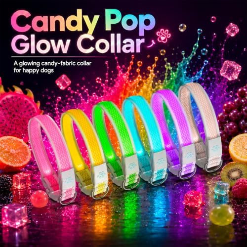 Multicolor LED Dog Collar USB-C Rechargeable, Light Up Dog Collar, Rainbow Gradient Glowing Dog Collar with 4 Light Modes, Adjustable Candy Mesh Pet Collar(Pink, Large)