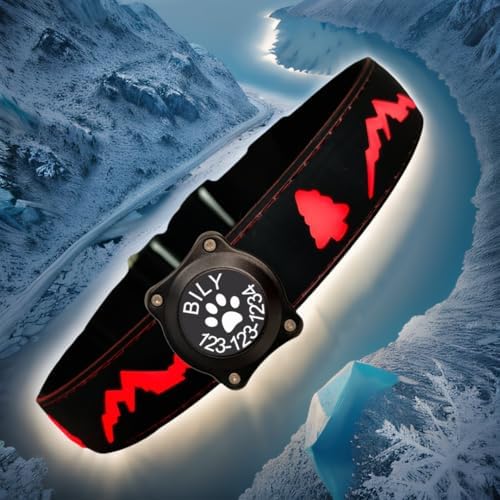 Personalized Light up Dog Collars Rechargeable with Waterproof airtag Holder for Black Dog Night Walking (Black Collar 15 Modes Lighting, M(11.8-15.7"))