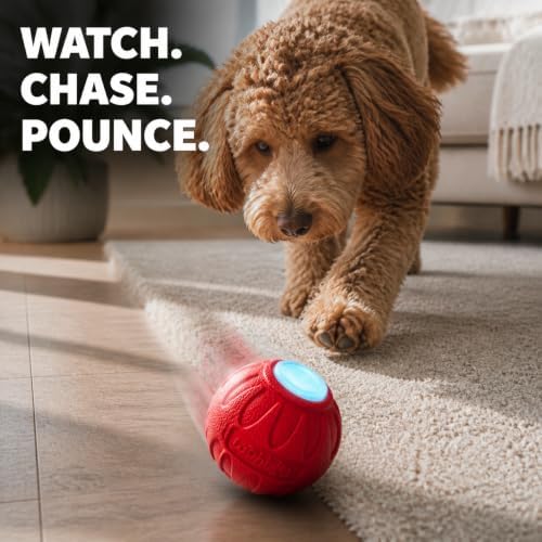 Wobbler Motorized Dog Ball, Rechargeable Glowing Interactive Toy, Two Modes