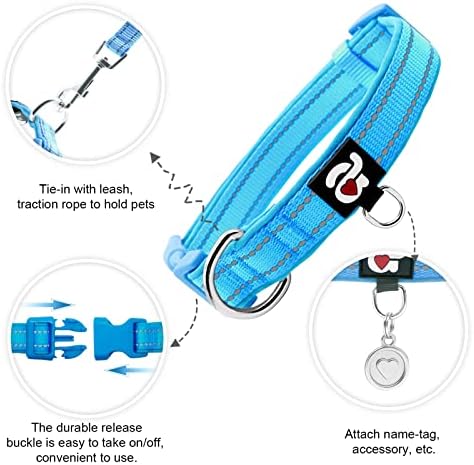 azuza Reflective Dog Collar, Neoprene Padded Small Dog Collar, Blue, S