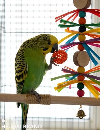 10-Pack Bird Toys – Colorful Fun
