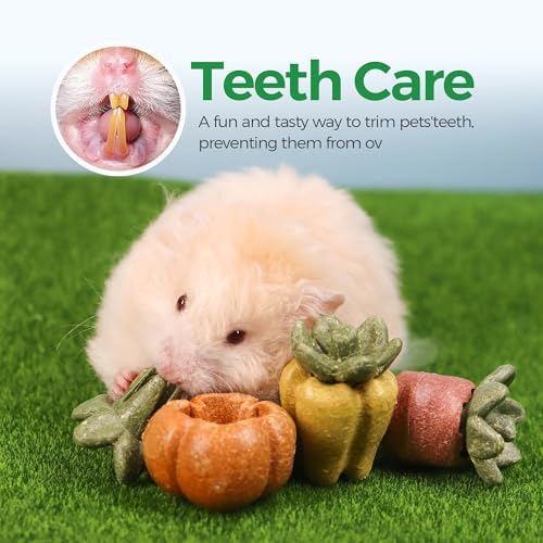 TEEWY Guinea Pig Chew Toys, Natural Vegetables and Timothy Grass, Hamster Chew Toys, Prevents Excessive Tooth Growth in Chinchillas, Gerbils, Hamsters, and Rabbits, Fruits & Vegetables Set