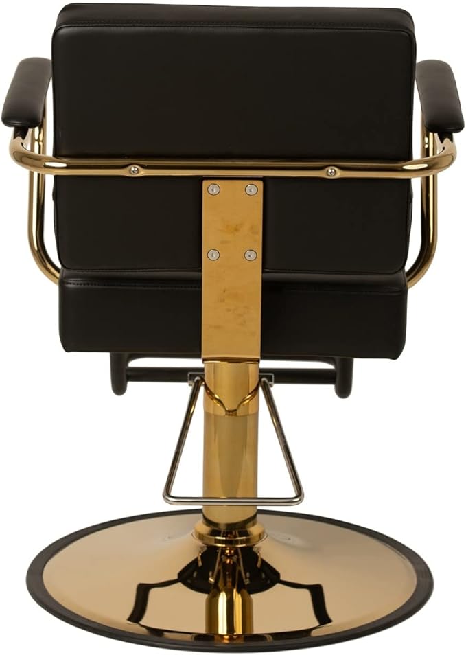 Buy-Rite Victoria Styling Chair for Professional Salons and Barbers, Gold Frame, Smooth All Black Premium Vinyl with Detailed Stitching, Hydraulic Pump, NIN-5506