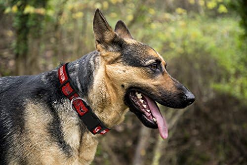 NHL Washington Capitals Collar for Dogs & Cats, Medium. - Adjustable, Cute & Stylish! The Ultimate Hockey Fan Collar!
