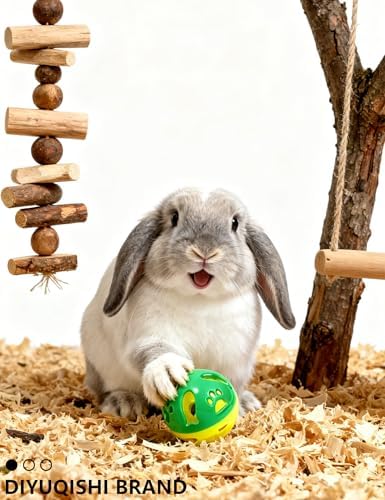 12-Pack Rabbit Chew Ball Toys with Squeakers, Non-Toxic PP