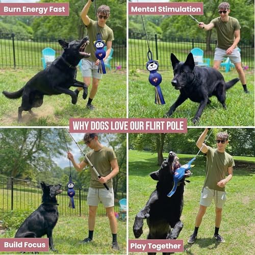 Flirt Pole for Dog Heavy Duty 35 Inch Teaser Wand with Raccoon Toy
