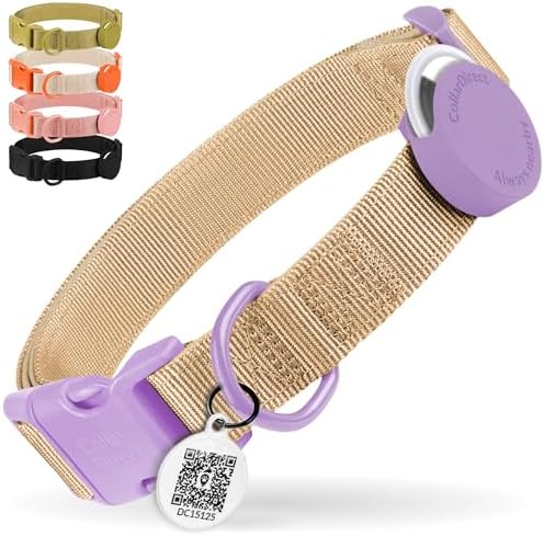 CollarDirect Airtag Nylon Dog Collar Silicon Holder Designed for Apple Airtag with QR Tags Personalized Dogs Puppies 5 Colors Black Pink Violet Green Orange (Violet, M)