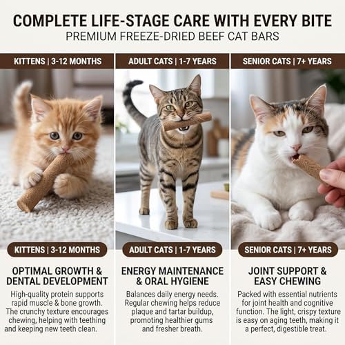 Freeze Dried Cat Chew Sticks Kitten Beef Treats No Grass 15pcs