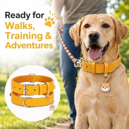 Genuine Leather Dog Collar, Soft Padded Leather Dog Collars with Airtag Holder Case for Small Medium Large X-Large Dogs,Comfort Heavy Duty Pet Collar with Durable Metal Buckle & D-Ring-Light Yellow/L