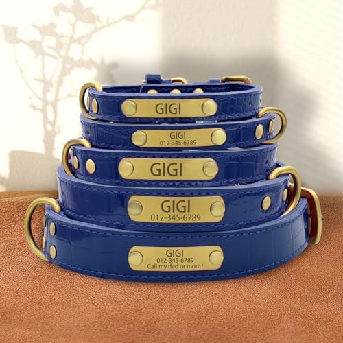 Personalized Genuine Leather Dog Collar with Engraved Name Plate - Durable and Stylish Custom Dog Collar for Small, Medium, and Large Dogs (M,Blue)