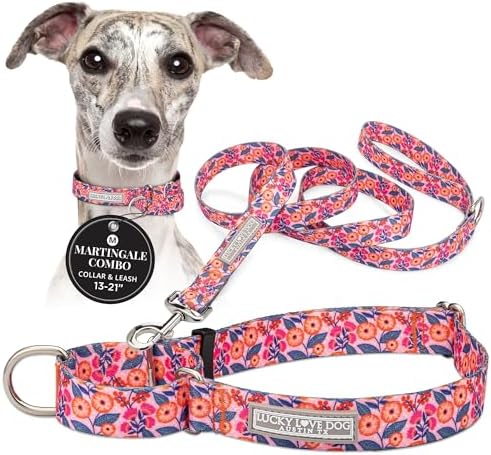 Lucky Love Dog Martingale Collar & Leash Set No Slip Cute – Rosie, Medium