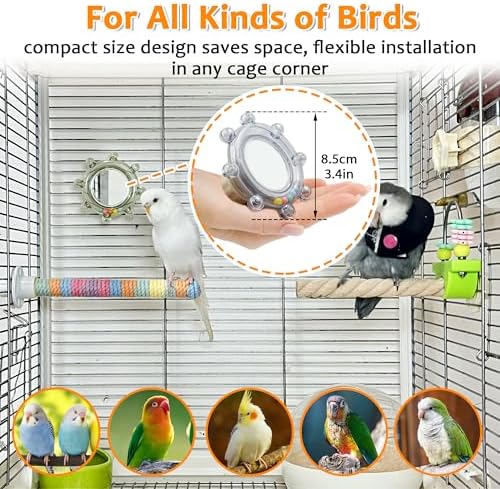 2Pcs Innovative Bird Toy with Mirror, Spinner Toy with Rustling Beads