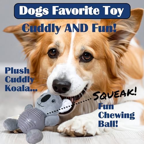 Gray Koala Plush Chew Toy for Dogs, Soft Plush Dog Toy with Durable Ball for Small, Medium, Large Dogs.