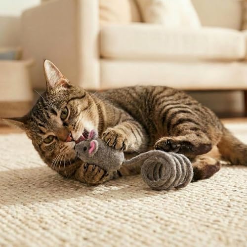 Glaciart One Felt Mouse Cat Toy – Soft Fuzzy Enrichment 100% Natural Wool - Interactive Catnip Play Cat Toy Set - Safe for Pets, Non-AZO Colored Dyes - 42” Long